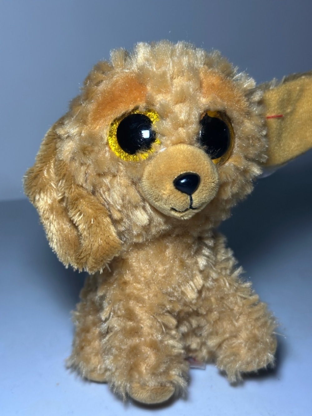 Ty Beanie Boos “Noodles” Goldendoodle Plush – Glitter Eyes Dog (7”) - Picture 3 of 12